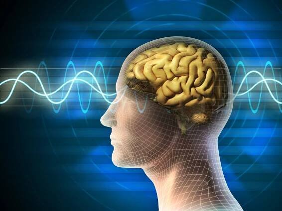 Epileptický záchvat může prodělat každý. Nemocní ale čelí diskriminaci na trhu práce