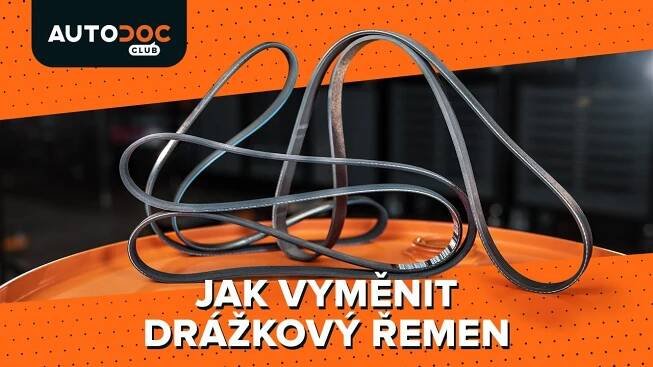Výměna klínového řemene v autě [NÁVOD AUTODOC]
