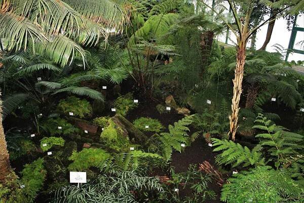Botanická zahrada Liberec.