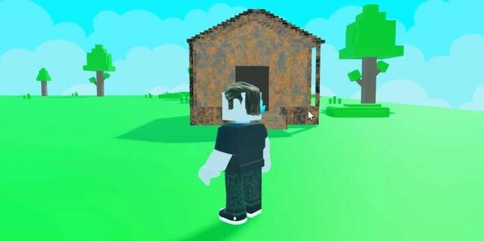 Clean a House player