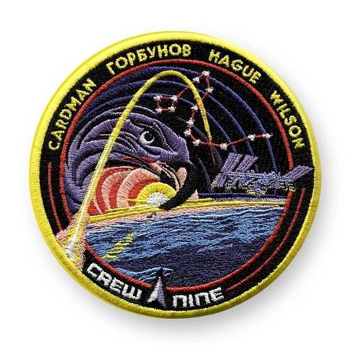 NASA SpaceX Crew 9 Mission Patch with names