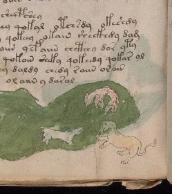 Voynichův rukopis aneb detektivka trvající čtyři století – Dóvova apotheka