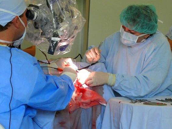 FOTO: Operace středního ucha v přímém přenosu