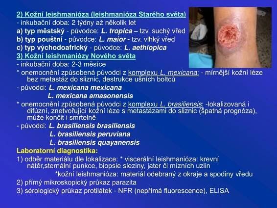 PPT - Základy parazitologie PowerPoint Presentation, free download - ID:283192