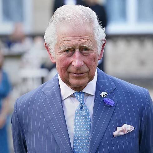 Peter Phillips Shares How King Charles is Reacting to Cancer Treatment