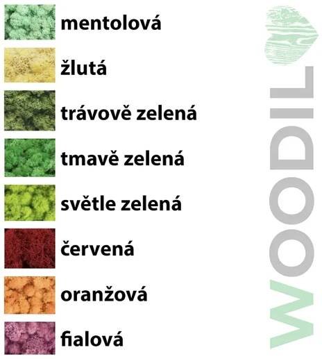 Lišejníková dekorace v šedém dřevěném květináči | stabilizovaný sobí mech - WOODILO design s.r.o.
