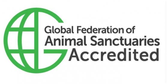 Global Federation of Sanctuaries - South Florida SPCA Horse Rescue