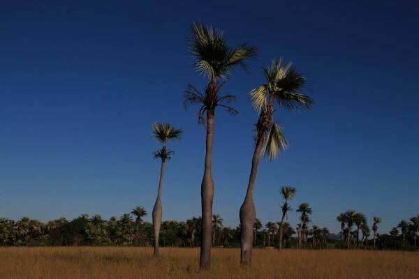 Cuba - Vinales 