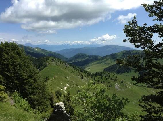 Monte Grappa Gallery