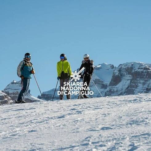 Ski It Cover