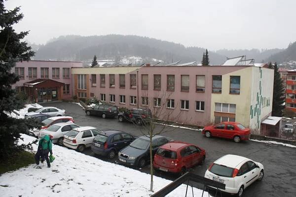 Opravy školy zkomplikuje i rorýs