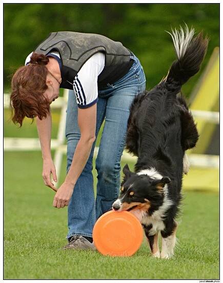 Ulli - Fotoalba - KDDF Tovačov 2013 - mé první letošní dogs frisbee závody