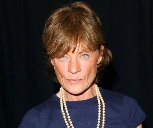 Meg Foster Biography - Facts, Childhood, Family Life & Achievements