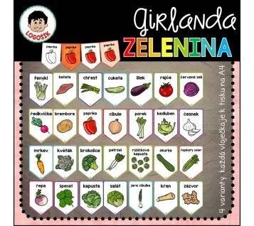 Obrázek2
