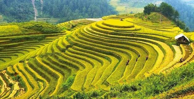 zájezdy Vietnam
