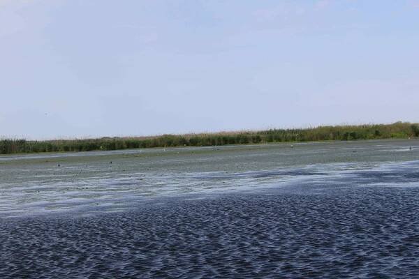 Fotogalerie Delta Dunaje – Dovolená v Rumunsku s CK KM