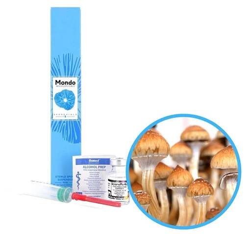 Golden Teacher Spory (Lahvička) - 10 ml