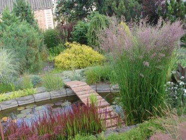 Zdobení zahrady okrasnými bylinkami: 45 barevných nápadů 