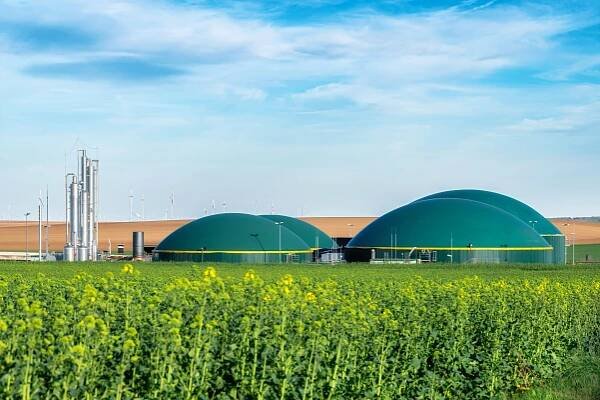 Půl miliardy korun na podporu energie z biomasy
