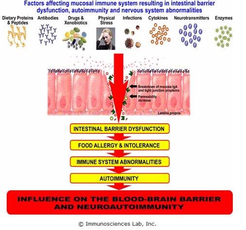 Leaky Gut
