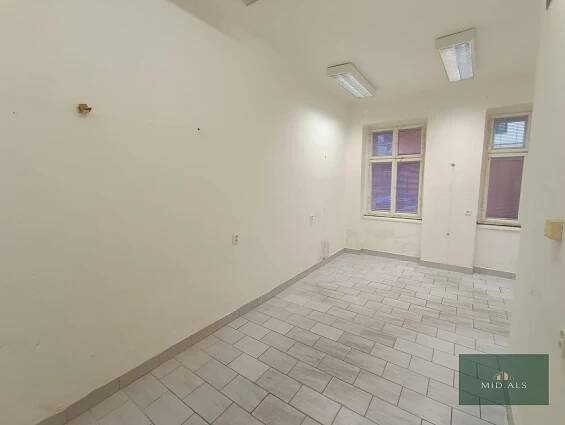 Nebytové prostory- kadeřnictví/masáže/kosmetika/kancelář/obchod/apod., 32 m2, Barrandova ul. v Plzni
