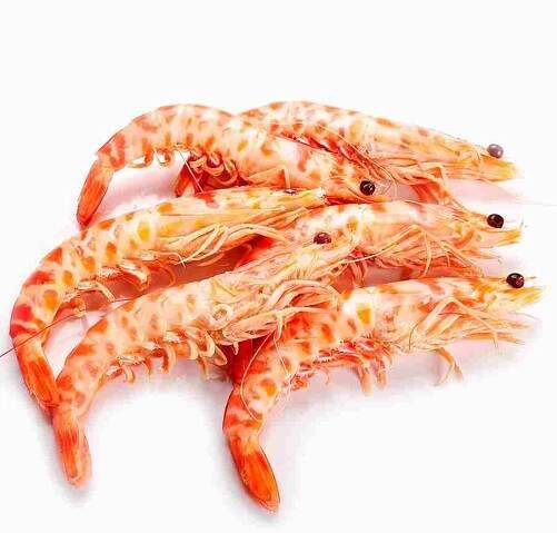 langostino tigre