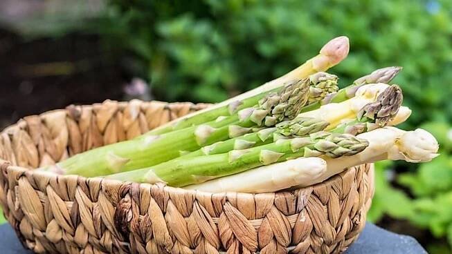 Chřest neobsahuje téměř žádné kalorie, ve 100 g čerstvých stonků se skrývá pouhých 20 kcal, zato velké množství vlákniny!