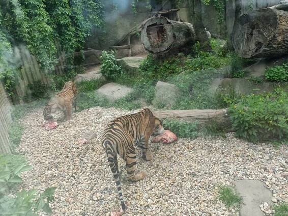 Prvňáčci v ZOO – ZŠ Jindřichův Hradec