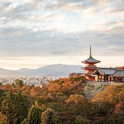 How I Booked a Luxury Honeymoon in Japan and Vietnam Using Points and Miles