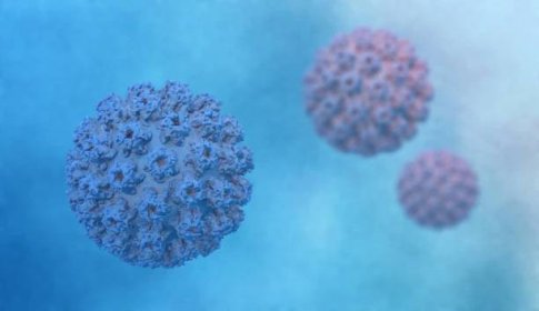 lidský papilomavirus typu 16 - genitální bradavice - stock snímky, obrázky a fotky