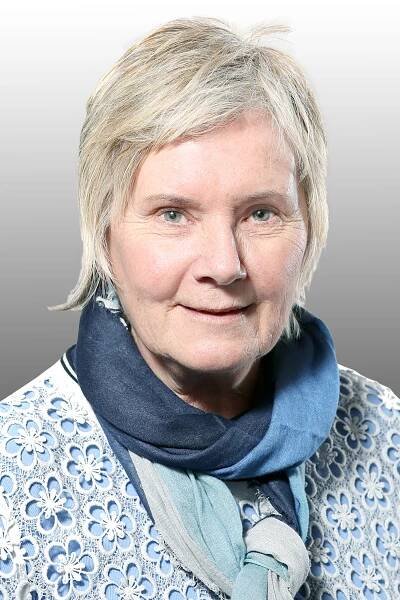 Gremien der DFB-Stiftung Sepp Herberger