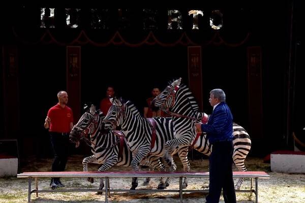Cirkus Humberto potěšil v Hodoníně i děti z Dětského domova