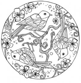 Ptáci s květy a listy v jarní mandale