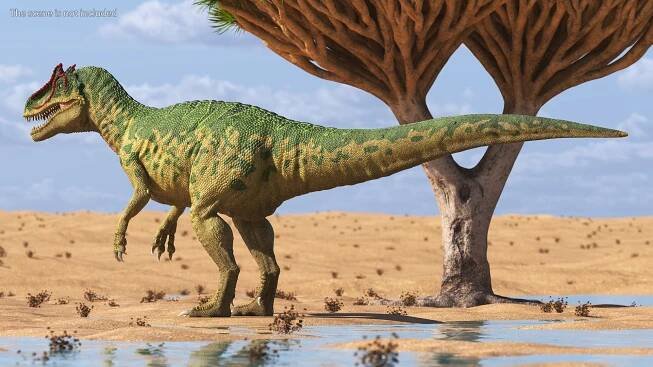 Rigged Dinosaurs Collection 7 for Cinema 4D 3D model https://p.turbosquid.com/ts-thumb/Lv/8lqj5S/HB/rigged_dinosaurs_collection_7_003/jpg/1708429140/1920x1080/fit_q87/bb367eae0524920030b893818bc912b821c6f91c/rigged_dinosaurs_collection_7_003.jpg