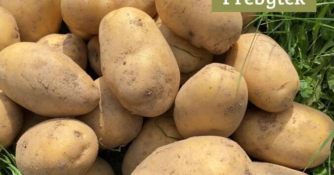 Farma rodiny Němcovy_Brambory odrůda Marabel - varný typ B, min. 5 kg