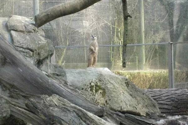 Březnová návštěva liberecké Zoo.