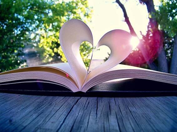 Blind Date with a Book | Albion District Library