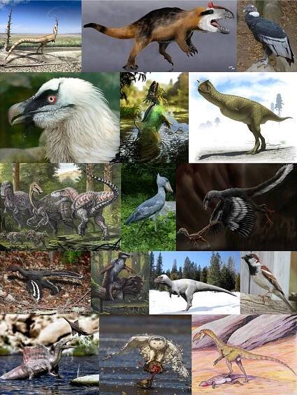 Category:Theropoda - Wikimedia Commons