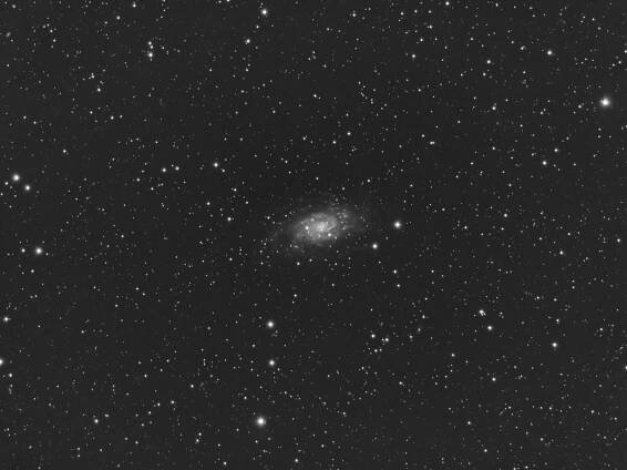 NGC2403