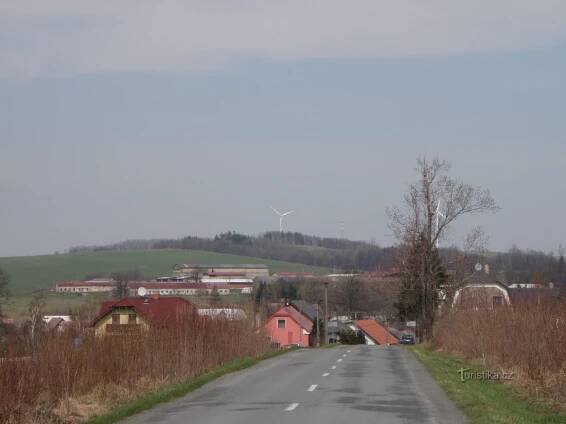 Jívová od Pohořan