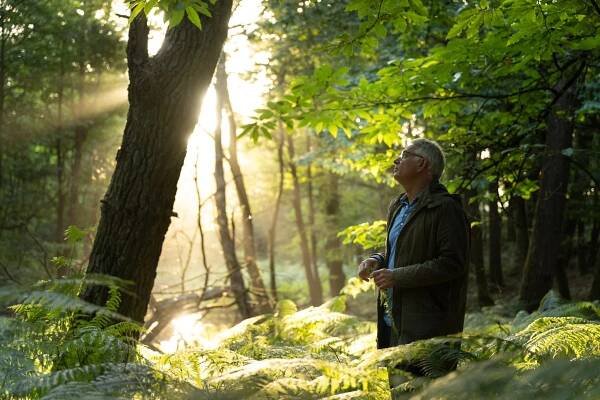 100 millions d’arbres plantés, de l’utopie à la réalité - Fondation Yves Rocher -114430
