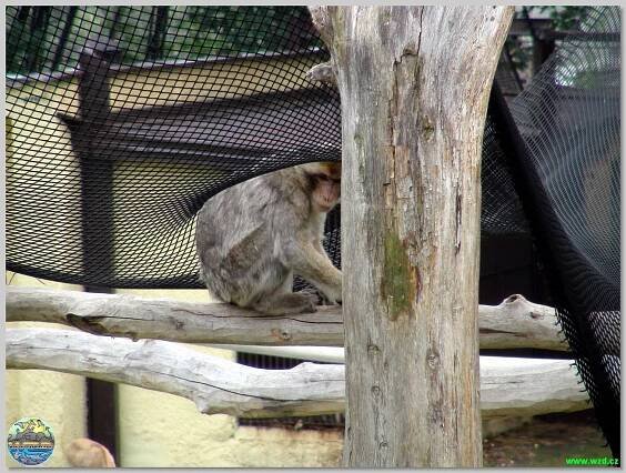 Zoopark Chomutov