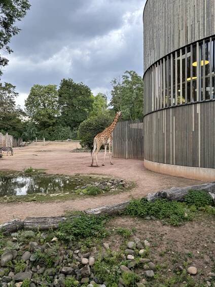Kam s dětmi do zoo? Zkuste Zoo Drážďany! - Rodinné výlety