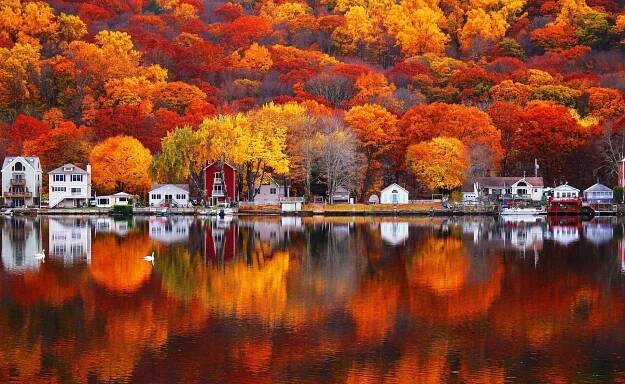 Stunning Autumn Landscape: Vibrant Fall Colors in the Forest Wallpaper