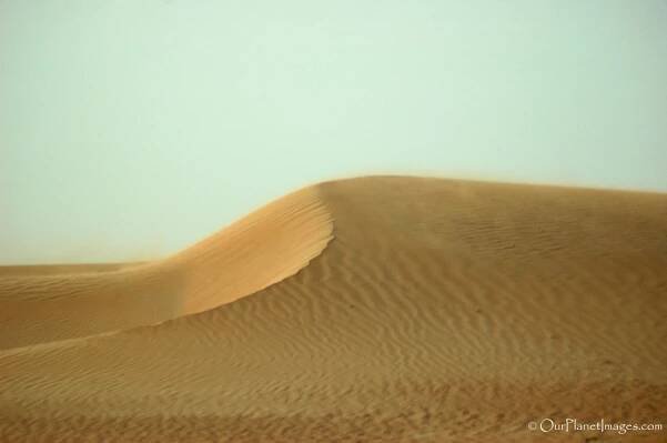 Arabian Desert, United Arab Emirates