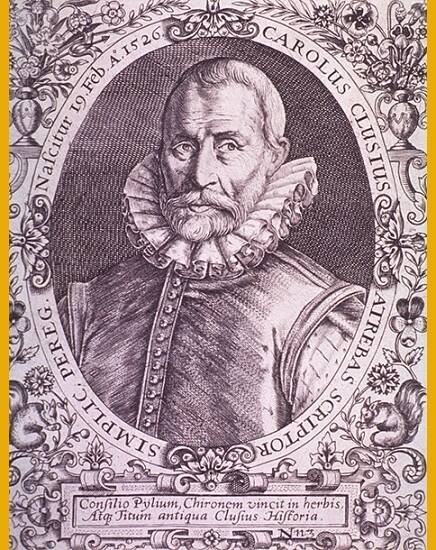 Left post of man’s head and shoulders in oval with floral border