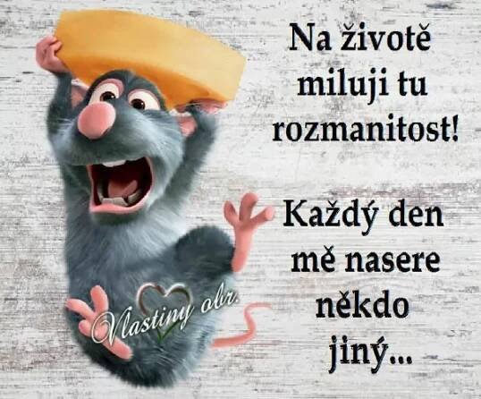 Pin di Bela Silhanova su Citáty