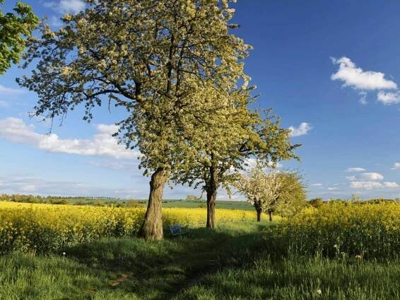 Obstland – Handverlesen, aus Liebe zur Region Altenburger Land | DEINE Auszeit - Region Altenburger Land - Urlaub, Reisen