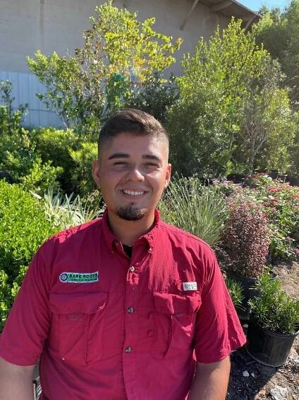 About Bare Roots Landscape Solutions | Landscaping in Dallas