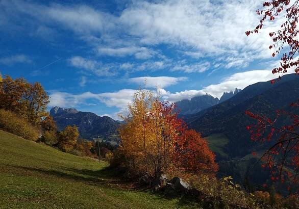 Ausblicke im Herbst - Miglanzhof